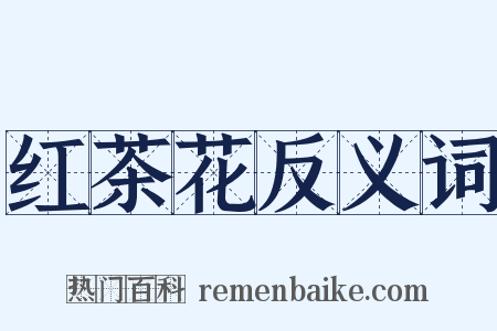 红茶花反义词是什么意思的图片